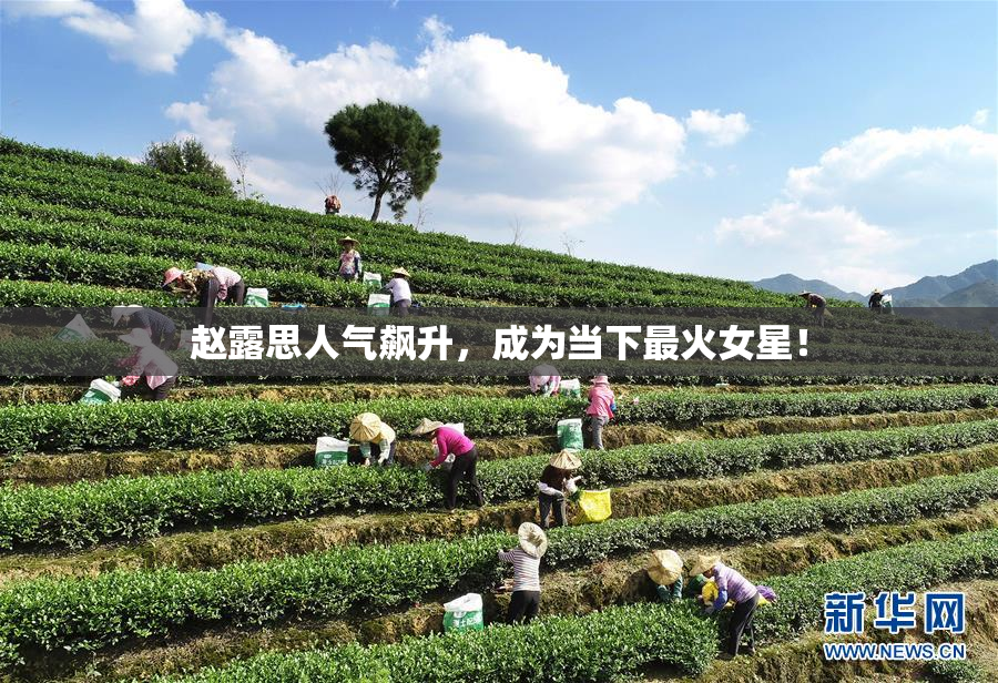 赵露思人气飙升，成为当下最火女星！