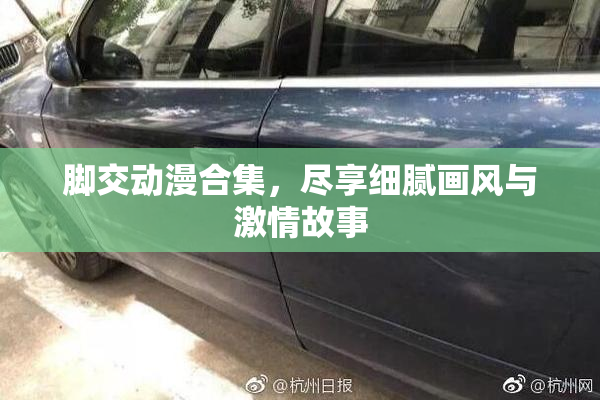 脚交动漫合集，尽享细腻画风与激情故事