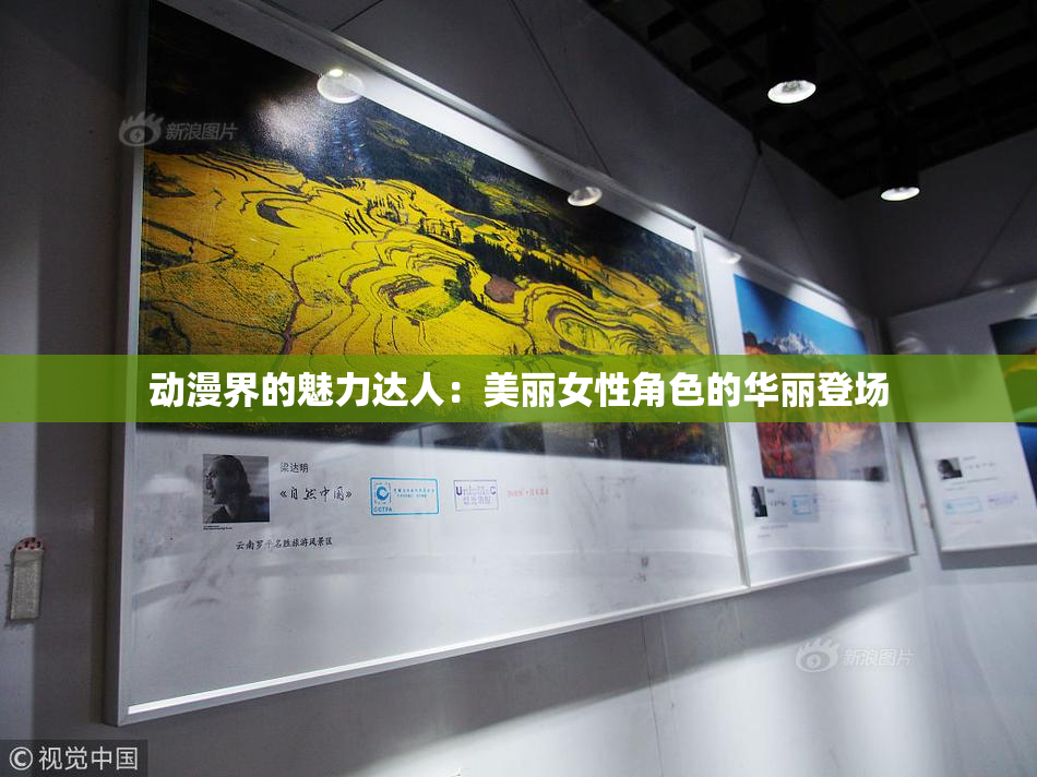 动漫界的魅力达人：美丽女性角色的华丽登场