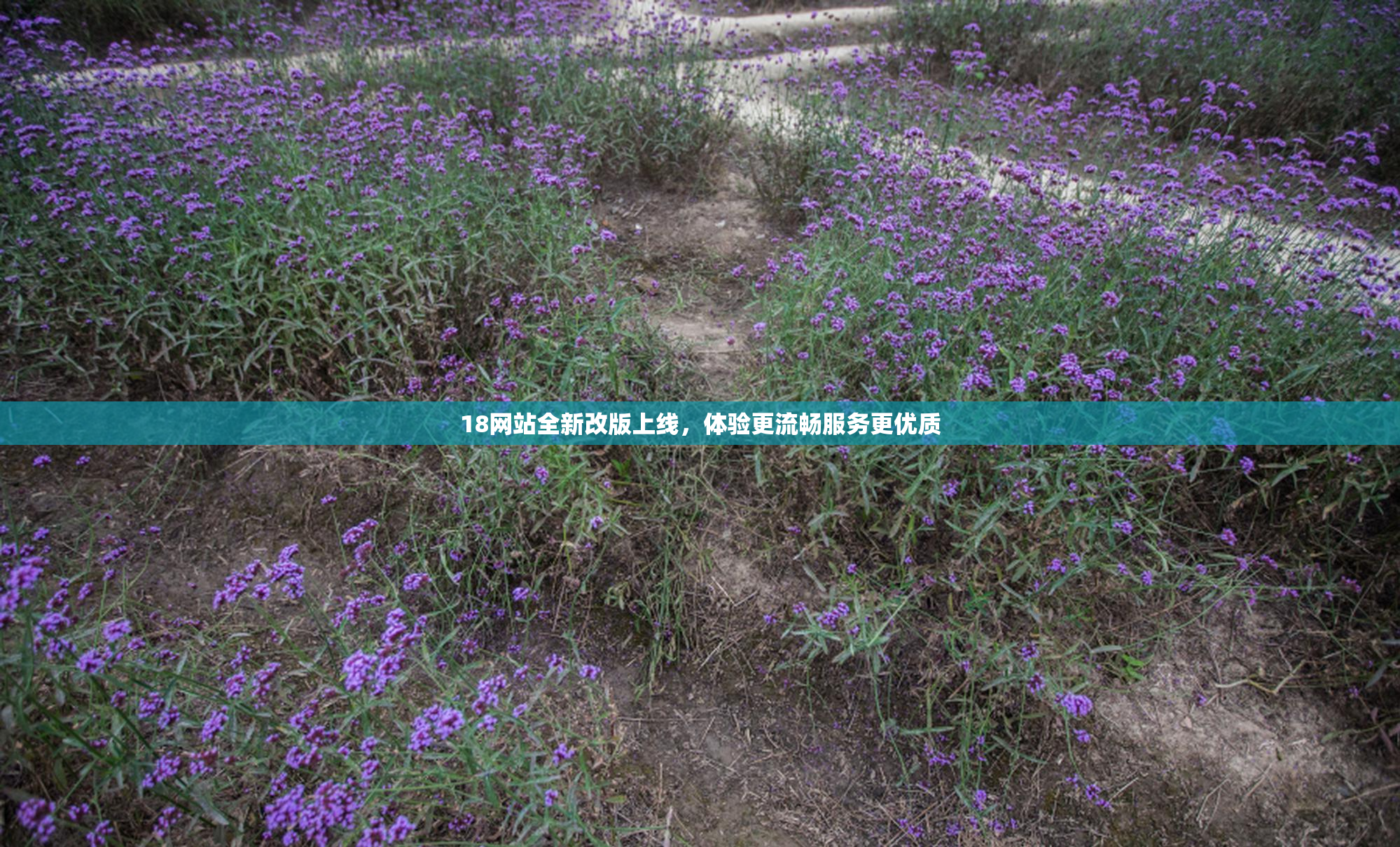 18网站全新改版上线，体验更流畅服务更优质