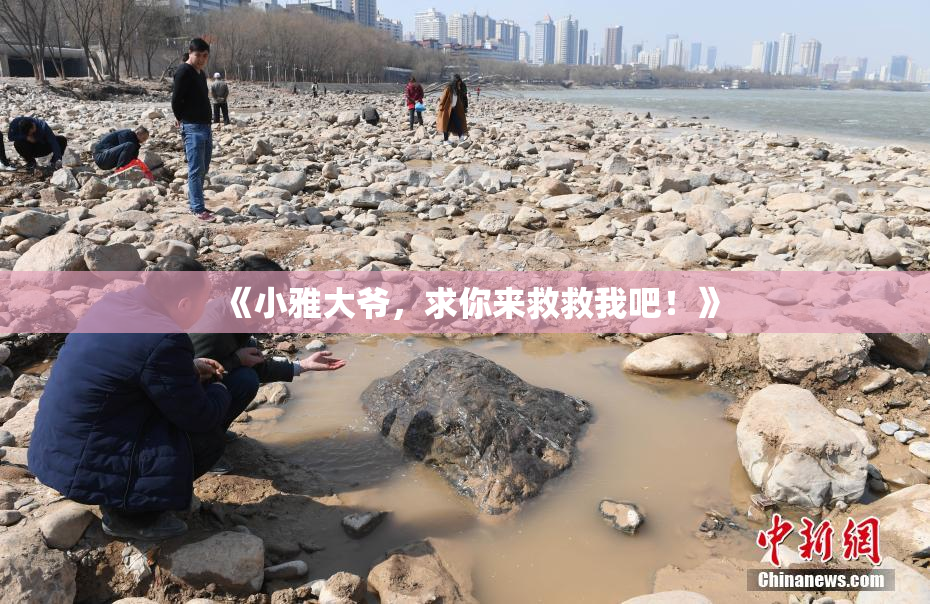 《小雅大爷，求你来救救我吧！》