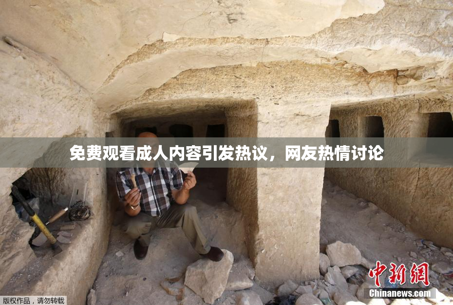 免费观看成人内容引发热议，网友热情讨论