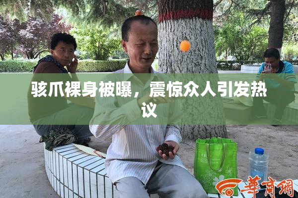 骇爪裸身被曝，震惊众人引发热议