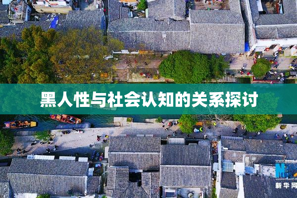 黑人性与社会认知的关系探讨