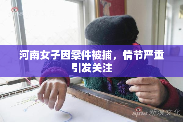 河南女子因案件被捕，情节严重引发关注