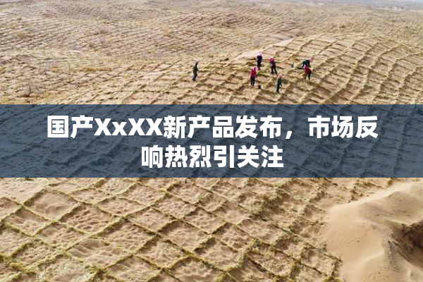 国产XxXX新产品发布，市场反响热烈引关注