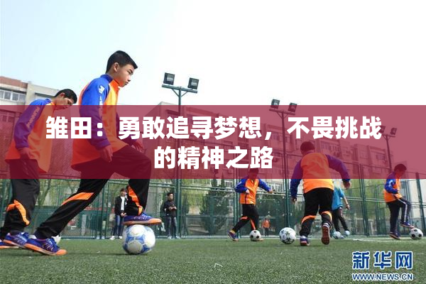 雏田：勇敢追寻梦想，不畏挑战的精神之路