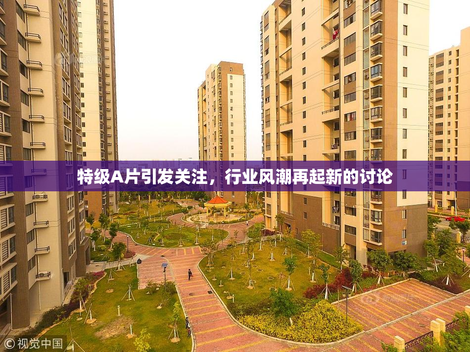 特级A片引发关注，行业风潮再起新的讨论