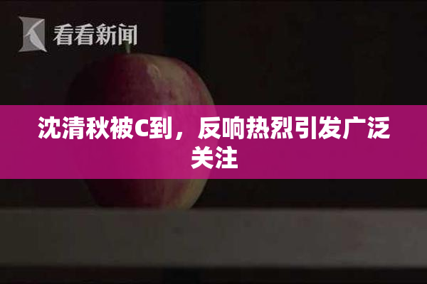 沈清秋被C到，反响热烈引发广泛关注