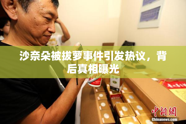 沙奈朵被拔萝事件引发热议，背后真相曝光