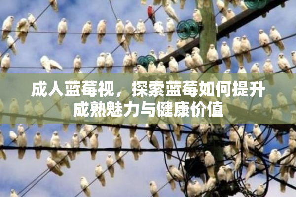 成人蓝莓视，探索蓝莓如何提升成熟魅力与健康价值