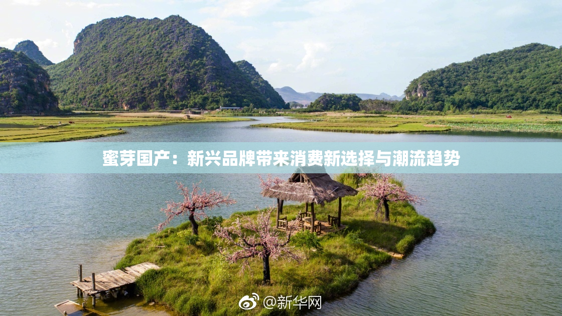 蜜芽国产：新兴品牌带来消费新选择与潮流趋势