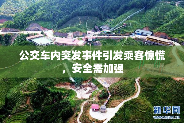 公交车内突发事件引发乘客惊慌，安全需加强