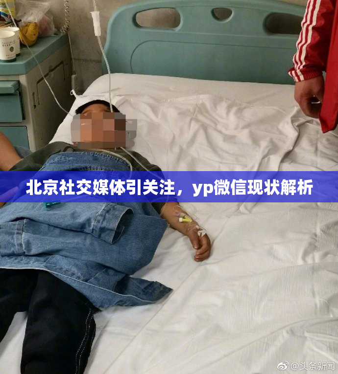 北京社交媒体引关注，yp微信现状解析