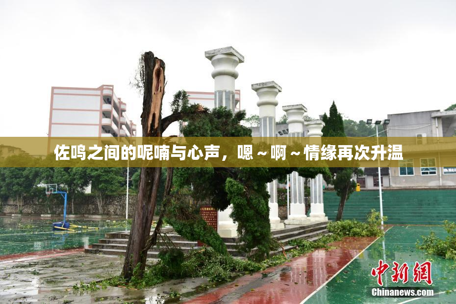 佐鸣之间的呢喃与心声，嗯～啊～情缘再次升温