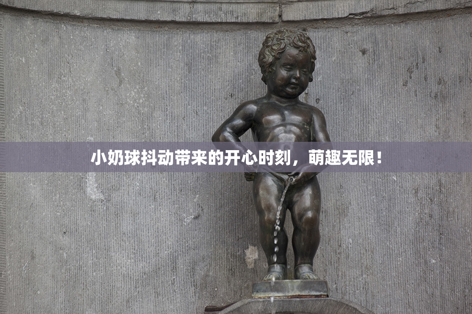 小奶球抖动带来的开心时刻，萌趣无限！