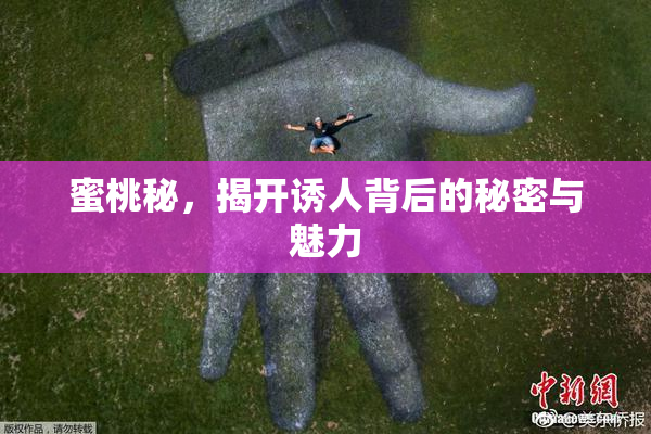 蜜桃秘，揭开诱人背后的秘密与魅力