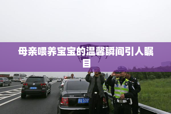 母亲喂养宝宝的温馨瞬间引人瞩目
