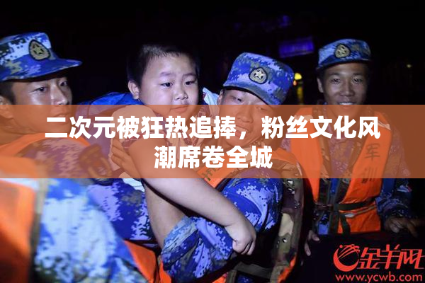 二次元被狂热追捧，粉丝文化风潮席卷全城