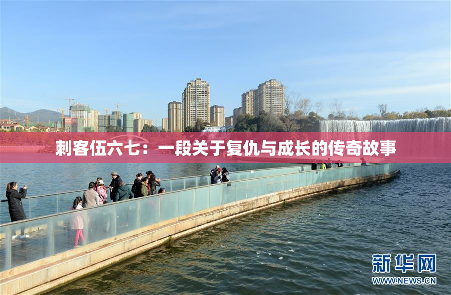 刺客伍六七：一段关于复仇与成长的传奇故事