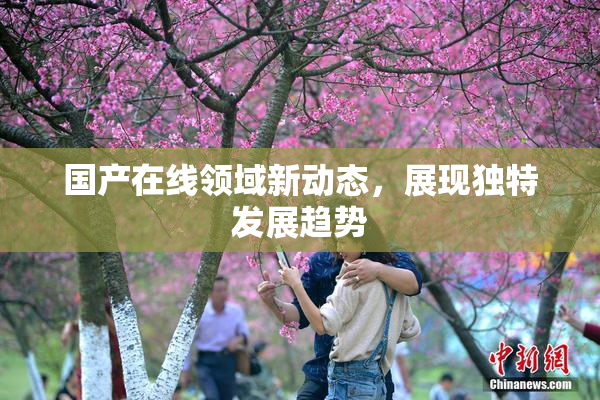 国产在线领域新动态，展现独特发展趋势