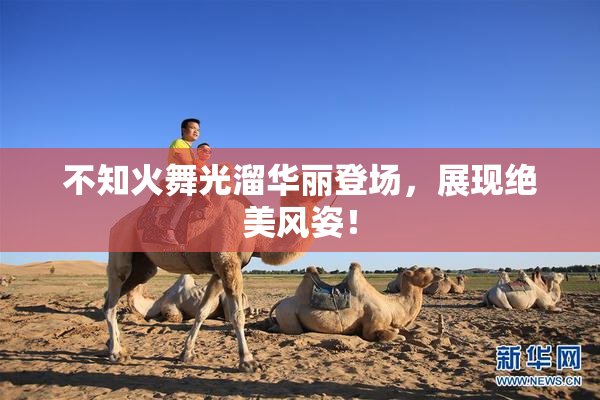 不知火舞光溜华丽登场，展现绝美风姿！
