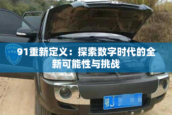 91重新定义：探索数字时代的全新可能性与挑战