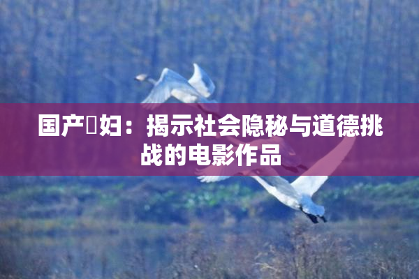 国产婬妇：揭示社会隐秘与道德挑战的电影作品