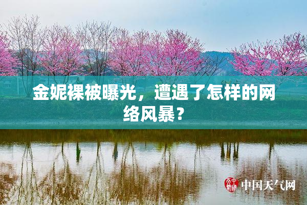 金妮裸被曝光，遭遇了怎样的网络风暴？