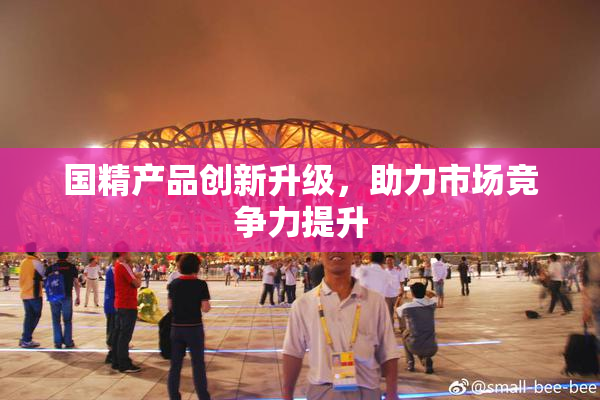 国精产品创新升级，助力市场竞争力提升