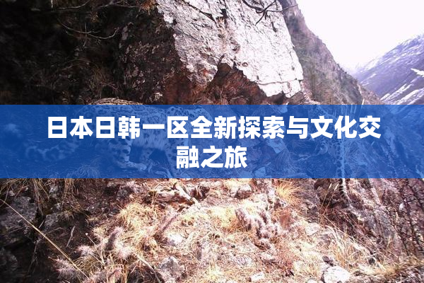 日本日韩一区全新探索与文化交融之旅