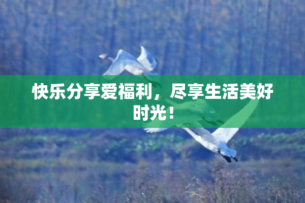 快乐分享爱福利，尽享生活美好时光！
