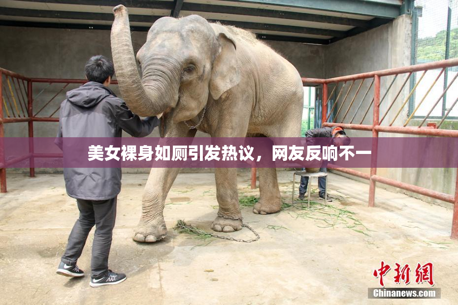 美女裸身如厕引发热议，网友反响不一
