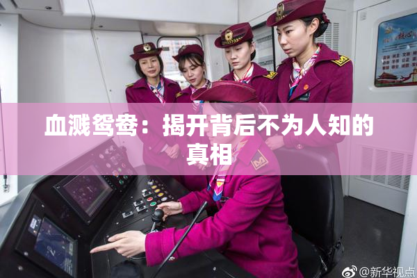 血溅鸳鸯：揭开背后不为人知的真相