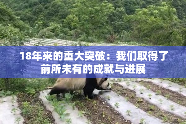 18年来的重大突破：我们取得了前所未有的成就与进展