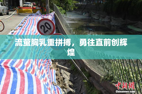 流萤胸乳重拼搏，勇往直前创辉煌