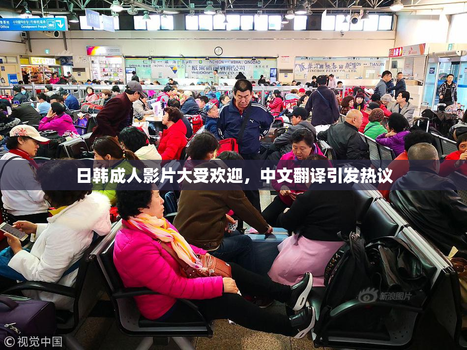 日韩成人影片大受欢迎，中文翻译引发热议