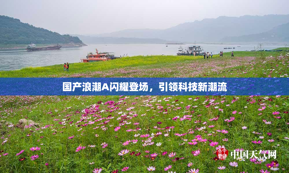 国产浪潮A闪耀登场，引领科技新潮流