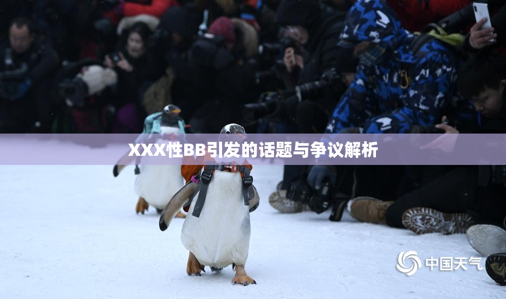 XXX性BB引发的话题与争议解析