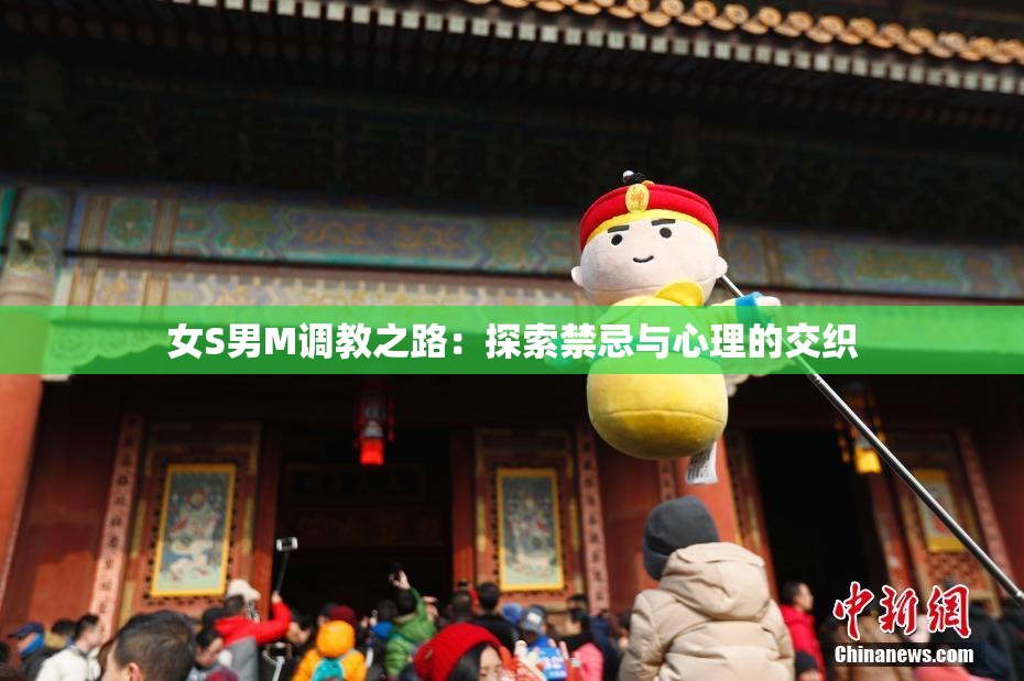 女S男M调教之路：探索禁忌与心理的交织