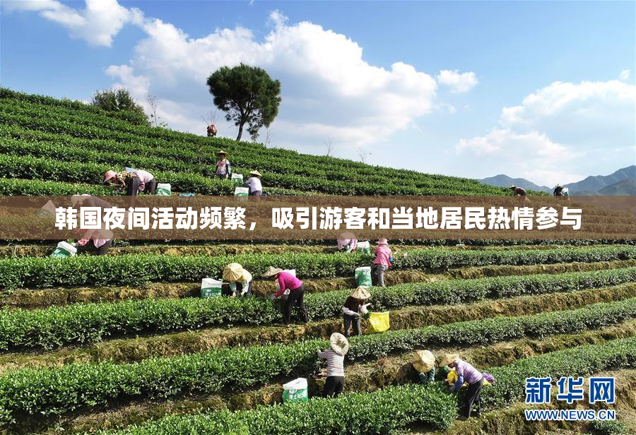 韩国夜间活动频繁，吸引游客和当地居民热情参与