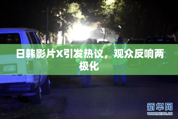 日韩影片X引发热议，观众反响两极化