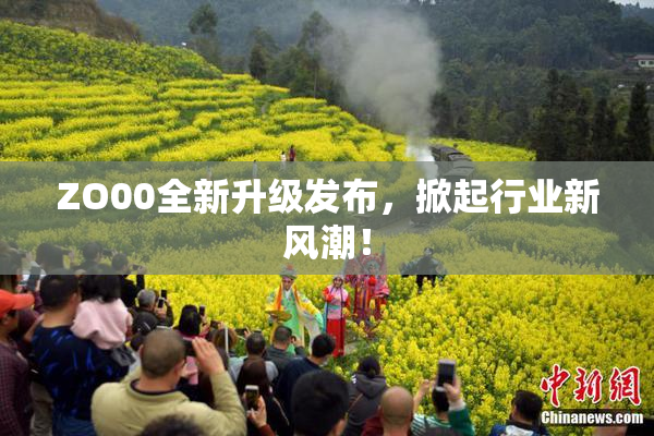 ZO00全新升级发布，掀起行业新风潮！