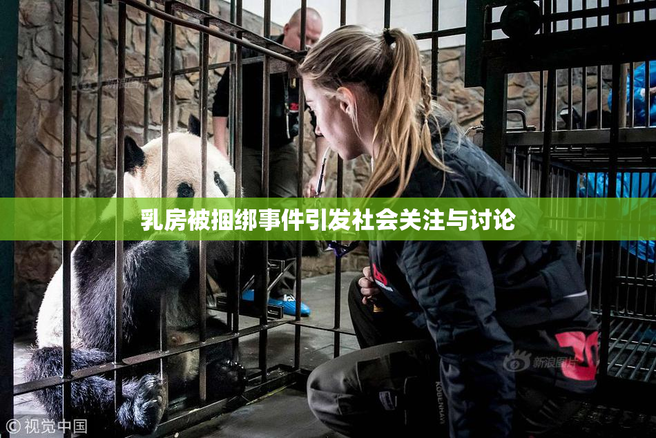 乳房被捆绑事件引发社会关注与讨论