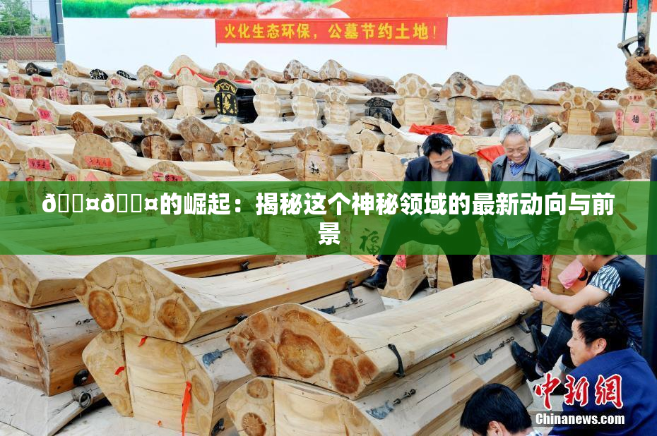 🐤🐤的崛起：揭秘这个神秘领域的最新动向与前景