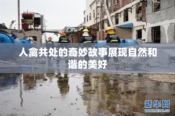 人禽共处的奇妙故事展现自然和谐的美好