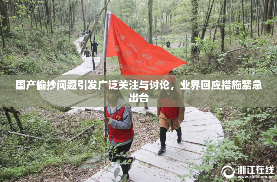 国产偷抄问题引发广泛关注与讨论，业界回应措施紧急出台