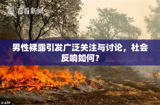 男性裸露引发广泛关注与讨论，社会反响如何？