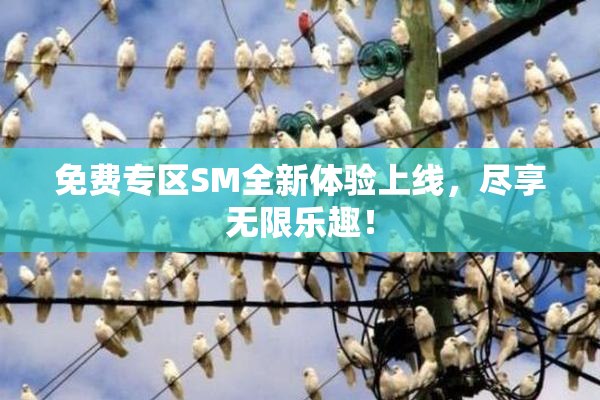 免费专区SM全新体验上线，尽享无限乐趣！