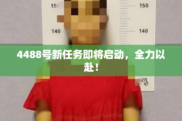 4488号新任务即将启动，全力以赴！